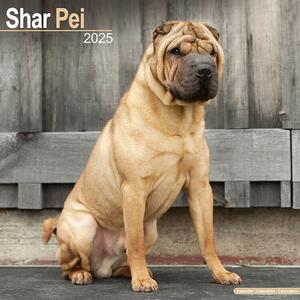 Calendar 2025 Shar Pei