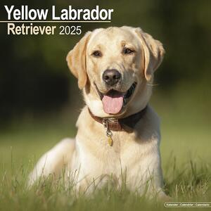 Calendar 2025 Labrador Ret (Yellow)