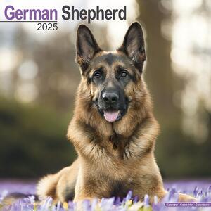 Calendar 2025 German Shepherd