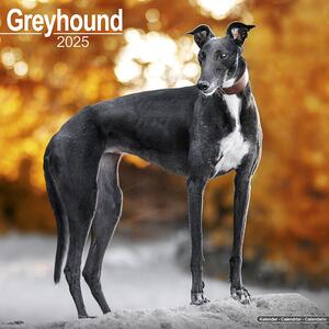 Calendar 2025 Greyhound