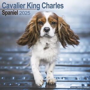 Calendar 2025 Cavalier King Charles