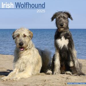 Calendar 2025 Irish Wolfhound