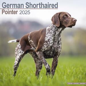 Calendar 2025 German ShortHair Pointer