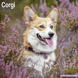 Calendar 2025 Corgi