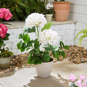 Artificial Hydrangea in Plant Pot