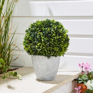 Round Topiary Tree in Grey Plant Pot