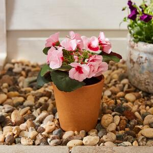 Artificial Geranium in Plant Pot