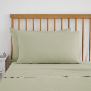 Pure Cotton Standard Pillowcase Pair