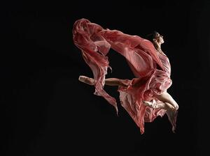 Photography Ballet dancer wearing flowing dress in, Ryan McVay