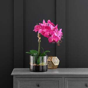 Artificial Pink Orchid in Glass Plant Pot Pink