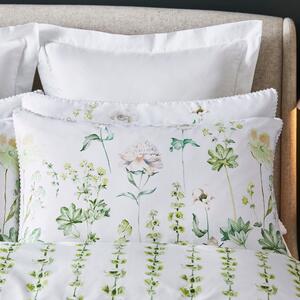 Dorma Flora Botanica Cotton Standard Pillowcase Pair White