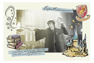 Art Print Harry Potter - Expelliarmus