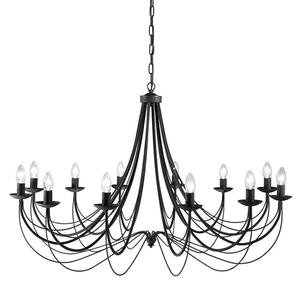 Philly 12 Light Ceiling Chandelier In Satin Black Finish FL2173/12