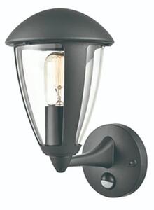 Flora Outdoor PIR Wall Lantern In Grey Finish OUT6637