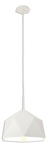 Eden 1 Light Ceiling Pendant In White And Silver Inner Finish