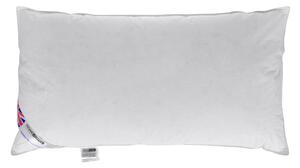 Homescapes Duck Feather and Down King Size Pillow Pair