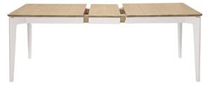 Mainz Wooden Rectangular Extending Dining Table In Taupe