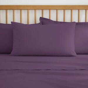 Pure Cotton Standard Pillowcase Pair Violet (Purple)
