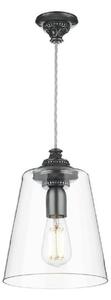 David Hunt Lighting OYS0167 Oyster 1 Light Ceiling Pendant In Pewter With Glass Shade