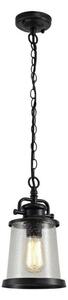 Oslo 1 Light Exterior Ceiling Pendant In Black Gold And Clear Glass