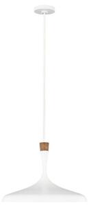 FE-DARWIN-P Darwin 1 Light Ceiling Pendant In White
