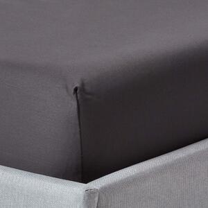 Dark Charcoal Grey Egyptian Cotton Fitted Sheet 1000 TC, Single