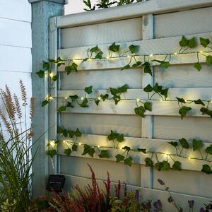 Ivy Garland 50 LED Indoor Outdoor String Lights Green