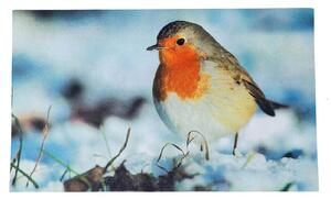 Homescapes Winter Robin Printed 100% Recycled Rubber Non-Slip Doormat