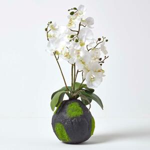 White Phalaenopsis Artificial Orchid with Natural Base, 60 cm Tall