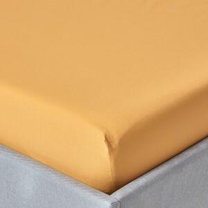 Mustard Yellow Egyptian Cotton Deep Fitted Sheet 200 TC, Super King