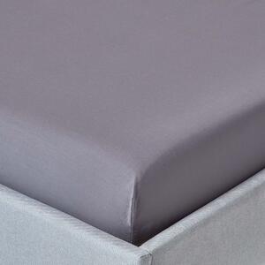 Homescapes Dark Grey Egyptian Cotton Fitted Sheet 200 TC, Single