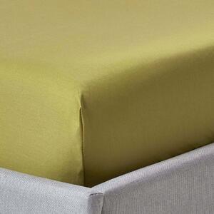 Homescapes 100% Egyptian Cotton 1000 TC Single Fitted Sheet, 46 cm Deep, Olive Green, Elasticated, Machine Washable, Luxury, Handcrafted