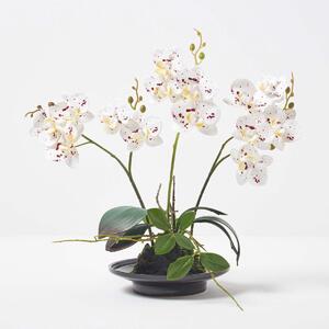 Homescapes 38cm Lifelike Artificial White Orchid in Black Ceramic Bowl