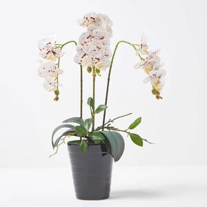 Large 56cm Lifelike Artificial White Orchid in Black Ceramic Pot