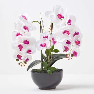 Large 56cm Lifelike Artificial White Orchid in Black Cement Pot