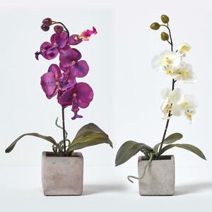 Homescapes Set of 2 Pink & White Artificial Orchids in Pots 40 cm