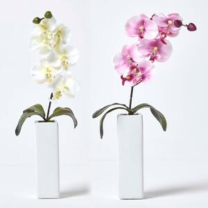 Homescapes Set of 2 Artificial Pink & Cream Orchids In Cream Vase 43cm