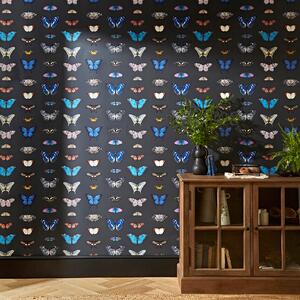 Butterfly Curator Raven Wallpaper Black/Blue/Yellow