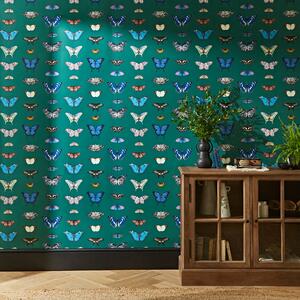 Butterfly Curator Emerald Wallpaper Green/Blue
