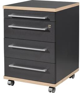 Germania Rolling Filing Cabinet Duo 42x45x60 cm Anthracite
