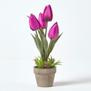 Dark Purple Artificial Tulips Grey Decorative Stone Pot, 27 cm