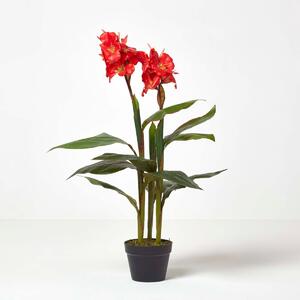 Homescapes Artificial Red Canna Lily Plant in Black Pot, 90 cm Tall