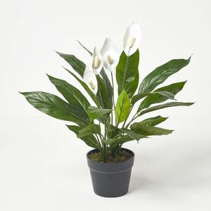 Homescapes Artificial Peace Lily Plant In Pot 60 cm Tall Spathe Flower