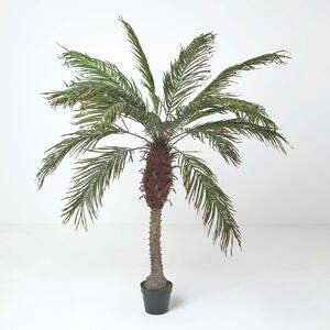 Homescapes Artificial Palm Tree Phoenix Canariensis Plant 160 cm Tall