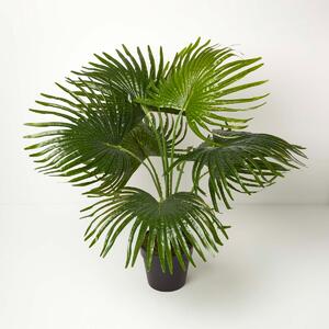 Homescapes Artificial Palm Tree in Pot 80 cm Tall Fake Fan Palm