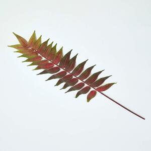 Homescapes Byfield Fern Artificial Foliage Leaf Single Stem 72 cm