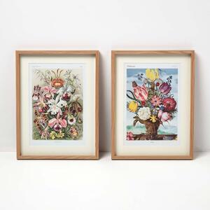 Homescapes Original wall decoration Botanical flowers Set of decorative frames