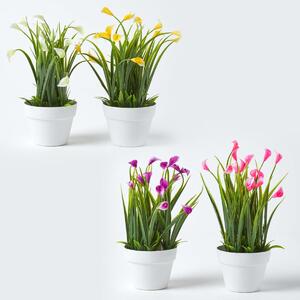 Homescapes Set of 4 Multi-Coloured Artificial Calla Lily in White Pots