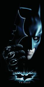 Art Poster The Dark Knight Trilogy - Batman, (26.7 x 40 cm)