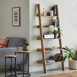 Fulton Ladder Bookcase Brown